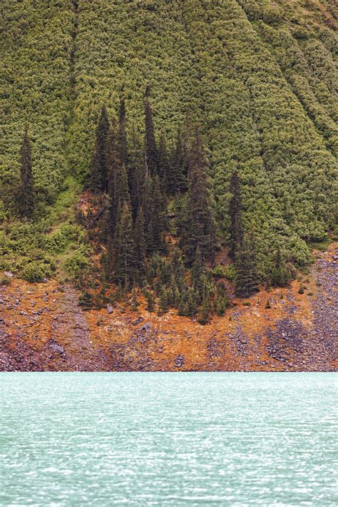 Visiter Le Parc National De Banff Les Incontournables Wild Birds