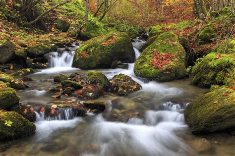 Mountain River In Late Autumn Stock Photo Image Of Beauty Rock 49078986