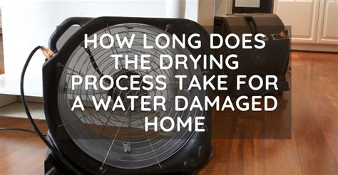 How long does it take for mold to grow after water damage. How Long Does The Drying Process Take For A Water Damaged ...