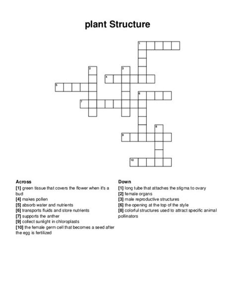 Plant Structure Crossword Puzzle