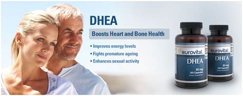 dhea hormone and body composition dhea supplement slows ageing and improves sex drive