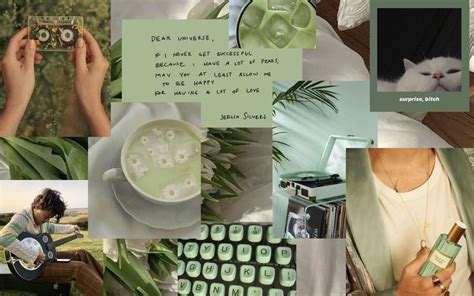 Sage Green Coloured Pretty Aesthetic High Quality Collage Wallpaper For