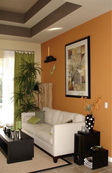 Room Paint Color Ideas Accent Living Room Wall Paint Walls Colors