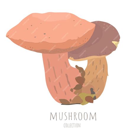 Illustration De Champignon De Dessin Animé De Vecteur Vecteur Premium