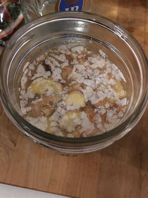 White Bits Floating On Top Of My Ginger Bug Rfermentation