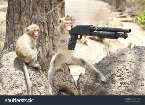Monkey With A Gun Stock Photo 145461700 Shutterstock