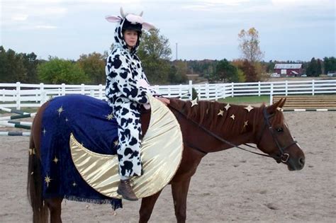 26 Creatively Costumed Horses Who Are Masters Of Disguise Horse
