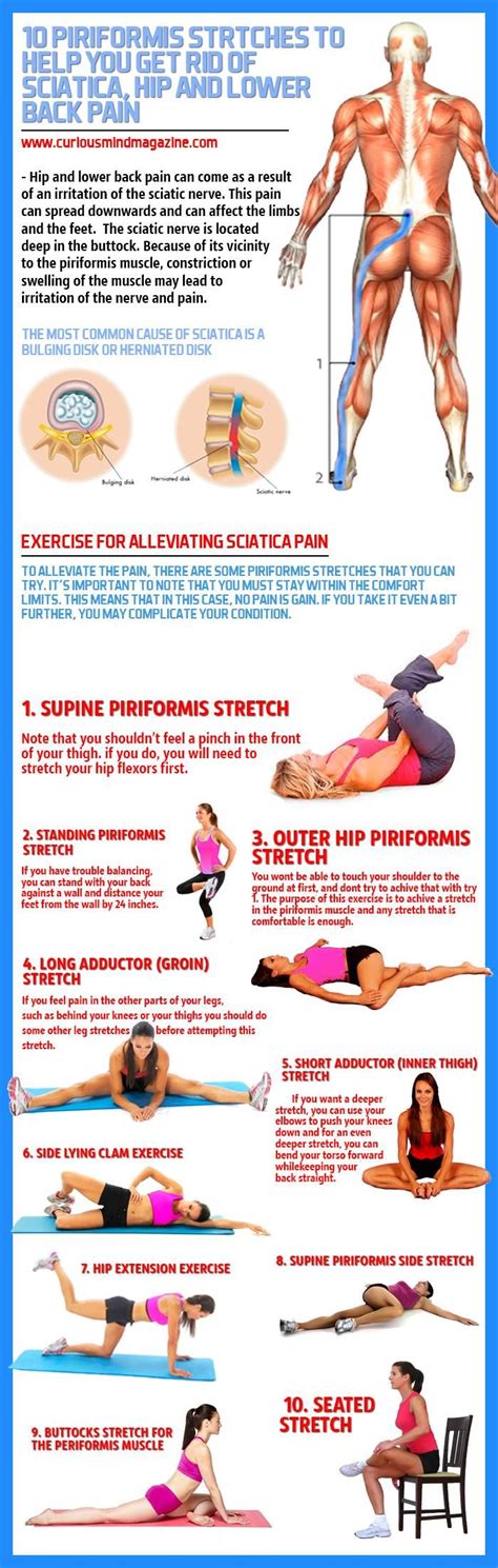 Piriformis Stretches To Help You Get Rid Of Sciatica Hip And Lower Back Pain