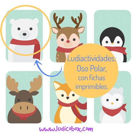 Oso Polar Actividades Manualidades Y Curiosidades Ludicobox Oso