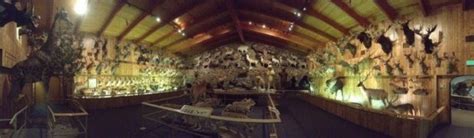 Biggest Trophy Room Ever Hunting