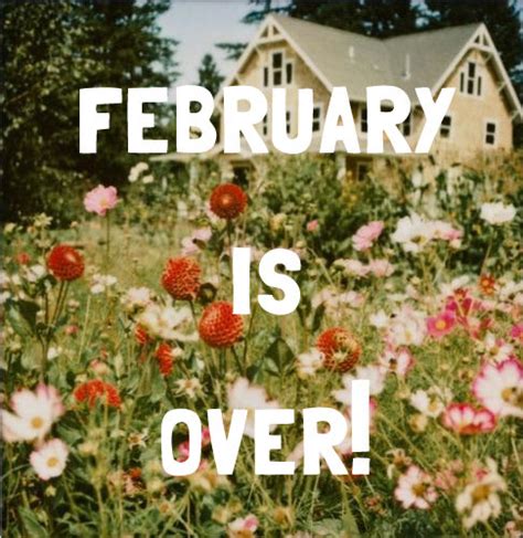 February Is Over Pictures Photos And Images For Facebook Tumblr