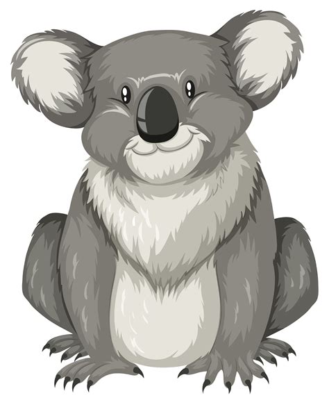 Koala Clipart Fauna Koala Fauna Transparent Free For Download On