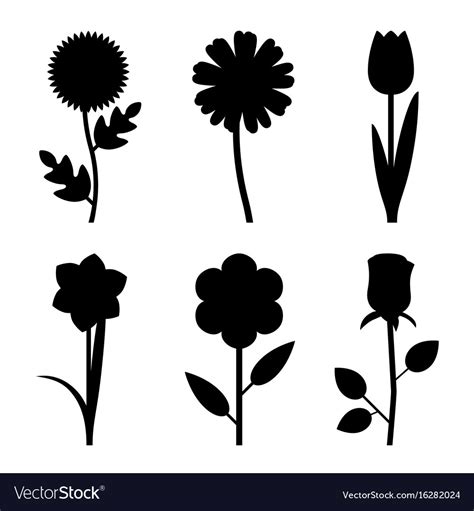 Flowers Black Silhouettes Royalty Free Vector Image