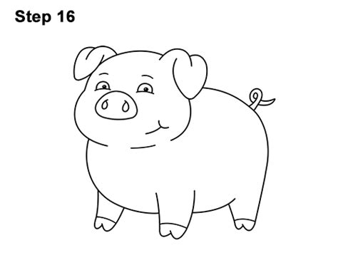 How To Draw A Pig Cartoon Video And Step By Step Pictures