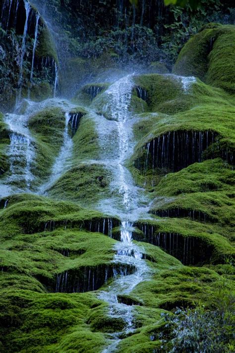 Spring Water Flowing On Moss In The Mountains Stock Photo Image Of