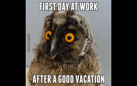First Day At Work After Vacation Meme University Poin