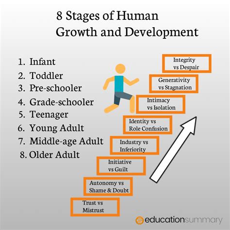 Stages Of Human Growth And Development From Infancy To Adulthood Educationsummary Com