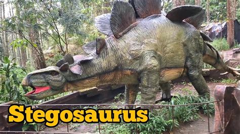Mengenal Dino Stegosaurus Di Mojosemi Parkmojosemipark Dinosaurus