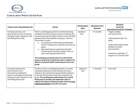 Clinical Audit Action Plan Templates At