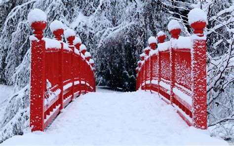 Japanese Winter Wallpapers Top Free Japanese Winter Backgrounds