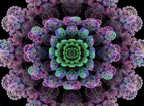 Aztec Flower Digital Art By Chris Burbick