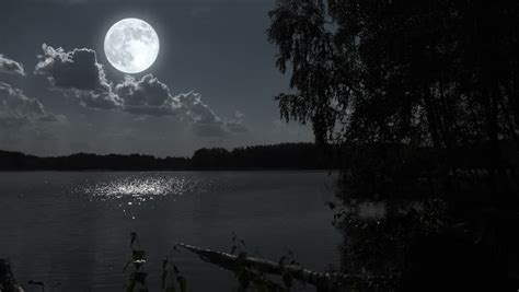 Full Moon Night Landscape With Forest Lake Stock Footage Video 7570180