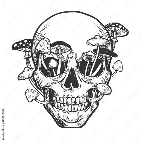 Human Skull And Mushroom Sprouted Sketch Engraving Vector Illustration