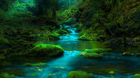 Greenery Moss Stone Stream Hd Nature Wallpapers Hd Wallpapers Id 53904