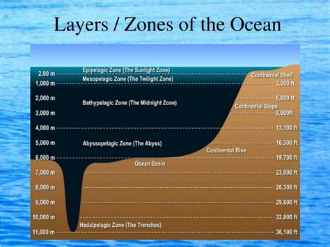 Ppt Ocean Layers Powerpoint Presentation Free Download Id3085453