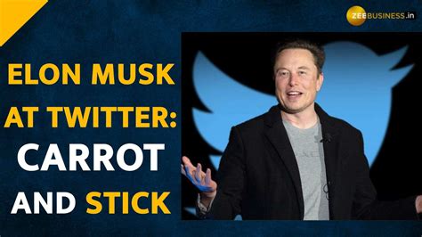 ‘chief Twit Elon Musk Disrupts Life At Twitter In Just A Week All