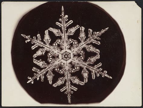 In 1885 Wilson Bentley Took The First Ever Photographs Of Snowflakes