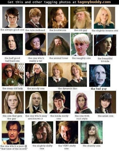 Harry Potter Characters Harry Potter Character Reimagined In New