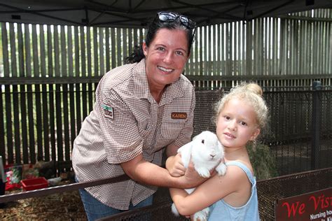 Baby Farm Animals Arrive At Alexandra Park Bundaberg Now