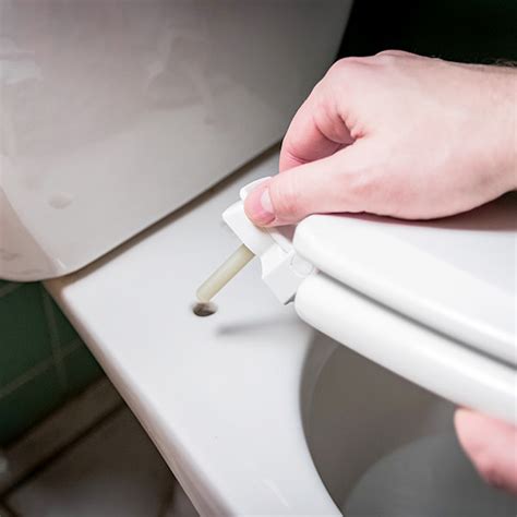 The Toilet Seat Buying Guide Qs Supplies