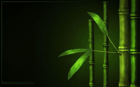 Bamboo Desktop Wallpapers Wallpaper Cave