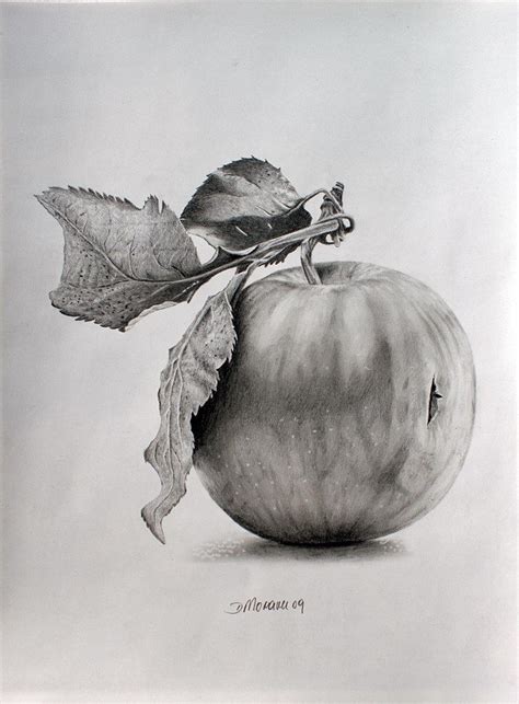 Just An Apple Original Fine Art By Dietrich Moravec Still Life Sketch