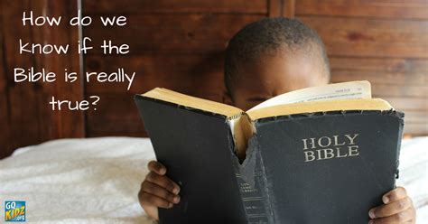 How Do We Know If The Bible Is Really True Is The Bible Really True