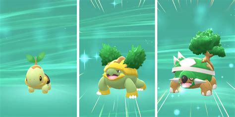 Pokémon Bdsp How To Get And Evolve Turtwig