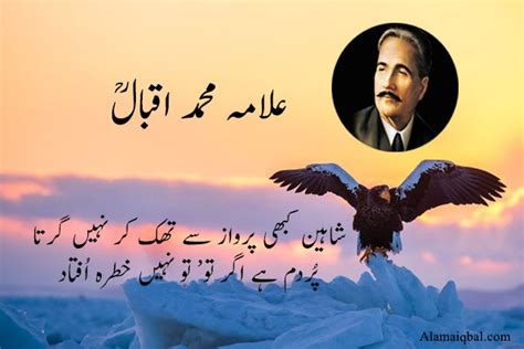 Allama Iqbal Poetry On Shaheen Iqbal Poetry Shaheen Urdu Beautiful My