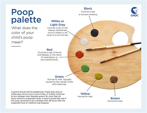Your Childs Poop An Ultimate Guide Choc Childrens Health Hub