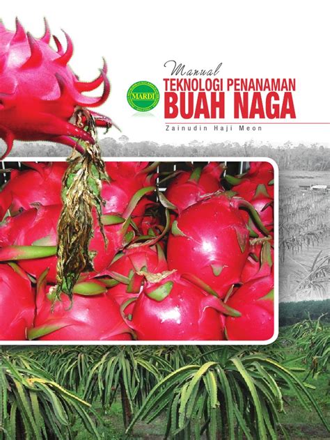 Pokok koko pokok koko ditanam daripada anak benih yang diperolehi daripada biji buah yang masak. Manual Teknologi Penanaman - Buah Naga