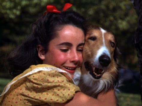 Courage Of Lassie 1946 Top Film Filme De Top