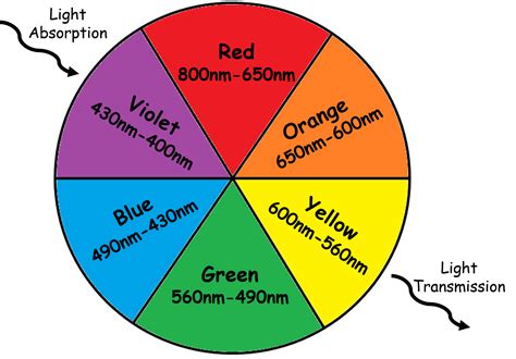 Visible Light Color Wheel