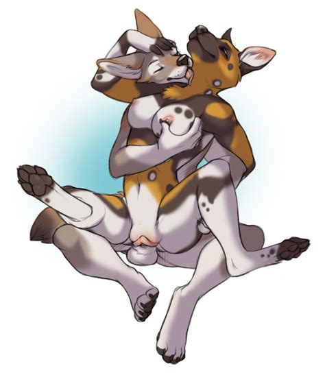 Rule 34 African Wild Dog Anthro Balls Breasts Canine