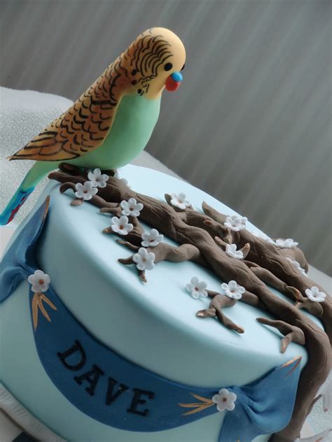 Budgie Cake