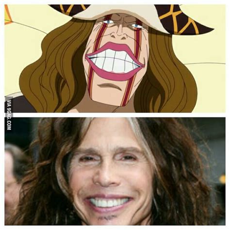 Diamante From One Piece And Steven Tyler 9gag