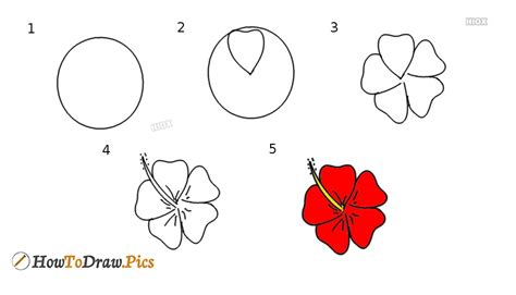 How To Draw A Hibiscus Flower Step By Step