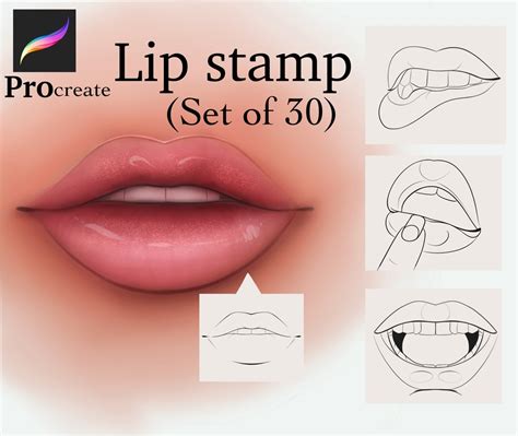 Procreate Lip Stamp Brushes 30 Stampsset 1