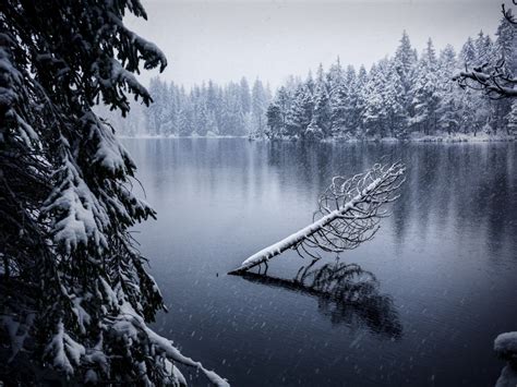 Desktop Wallpaper Winter Lake Trees Reflections Outdoor Hd Image