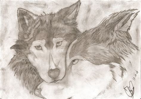 Love Wolves By Darkwolf2011 2012 On Deviantart